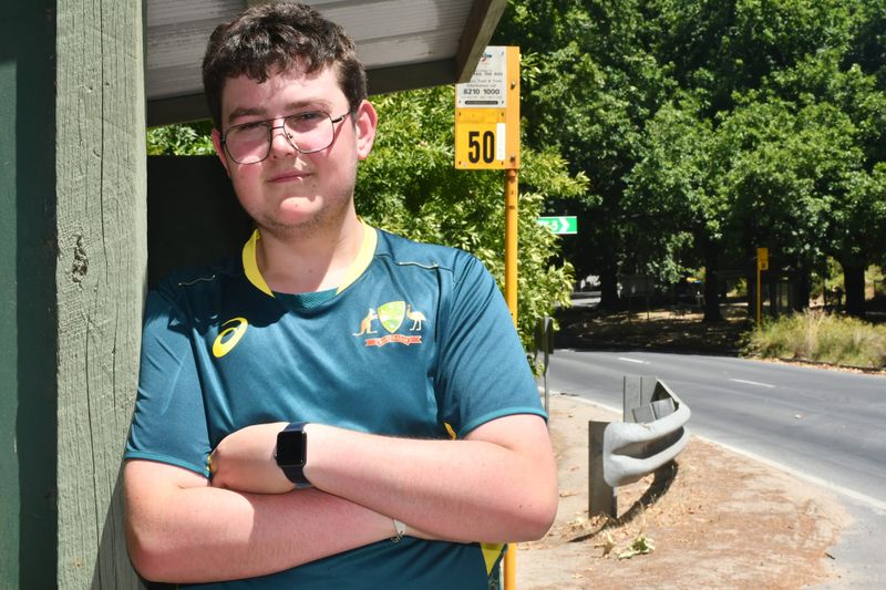 Call for more buses post image