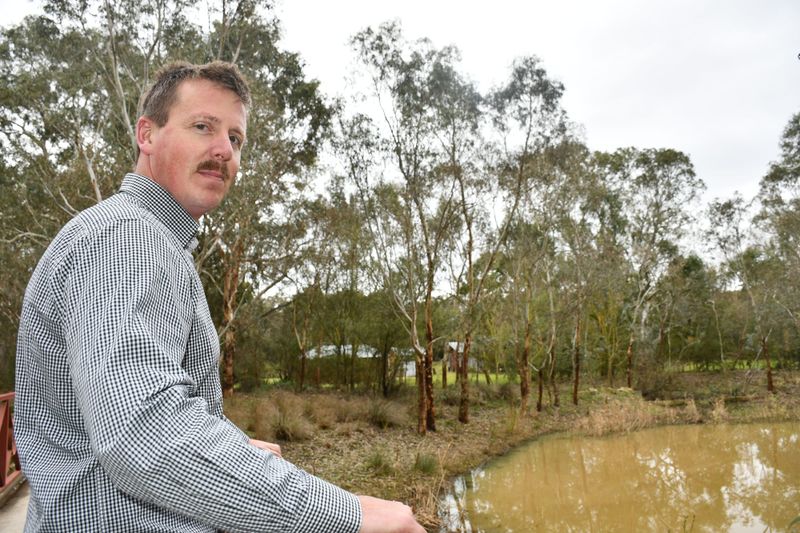 Wetland weed spread stopped post image
