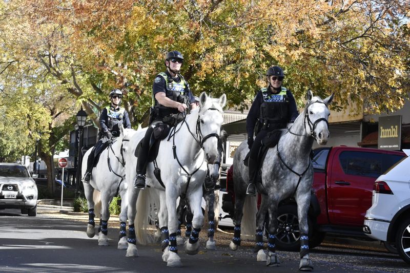 Police horses trot into Mt Barker post image
