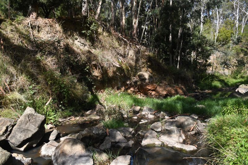 Gold diggers damage local creek post image