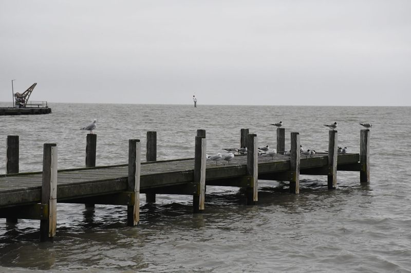 Flooding not expected at Milang, but residents urged to be vigilant post image