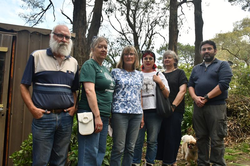 Residents concerned about habitat loss as trees face the axe post image