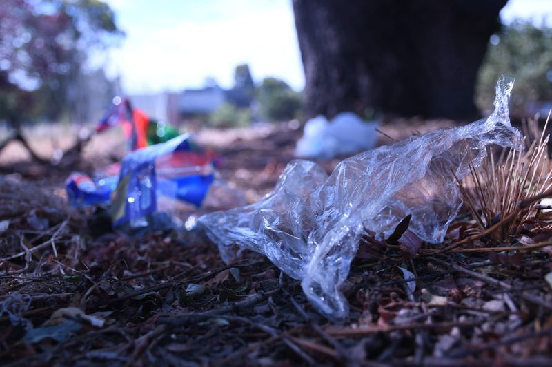 Councils go soft on plastic post image