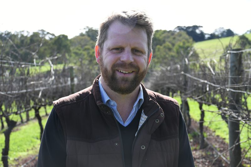 Major rise in value for Hills white wine grapes post image
