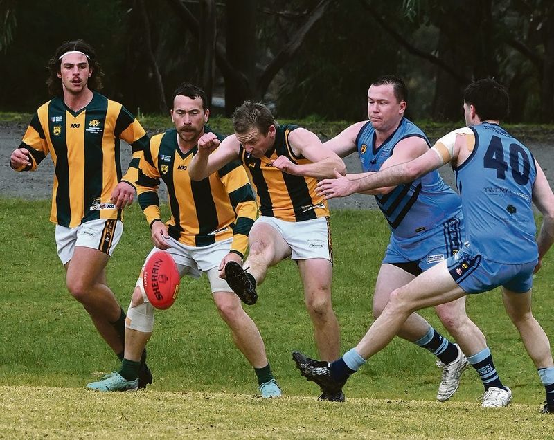 Meadows seal a berth post image