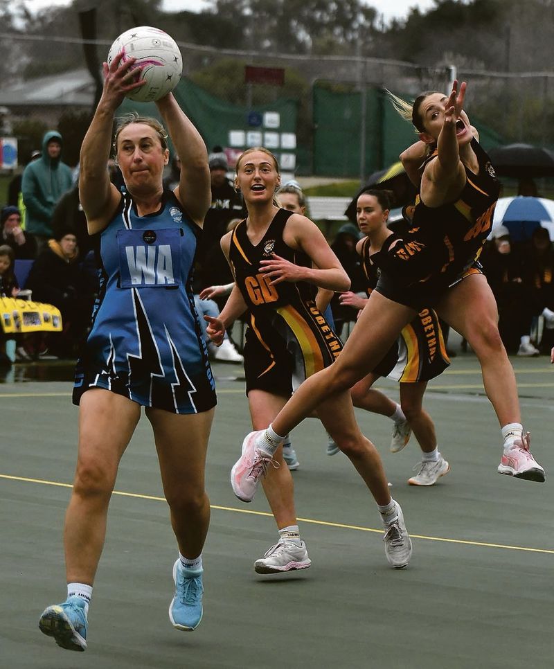 Preliminary final upsets post image