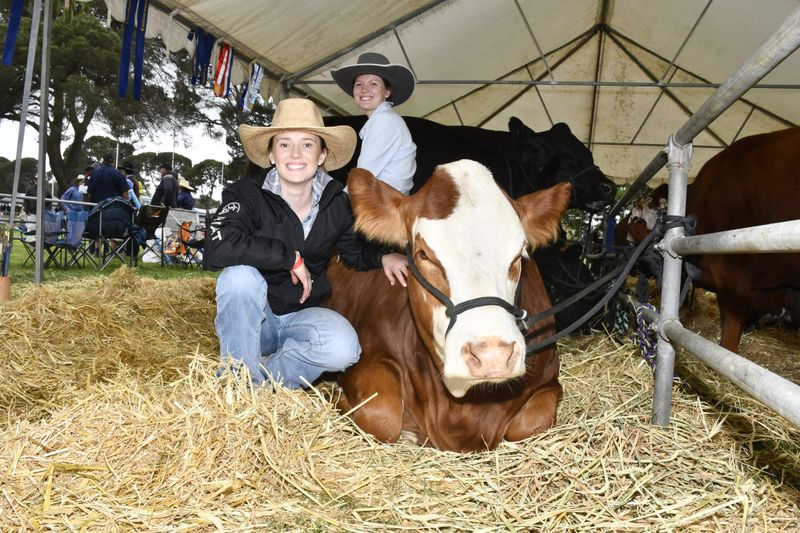 Showtime at Strath post image