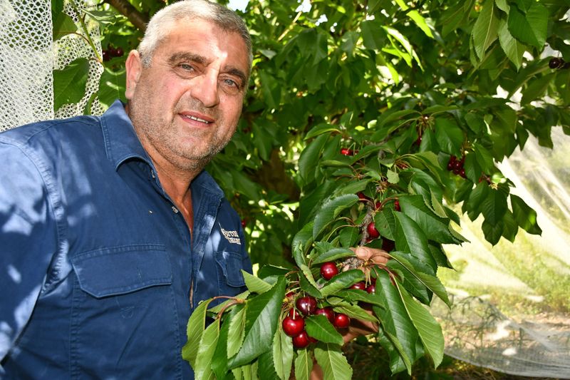 Cherry season delayed, but warm weather a boost post image
