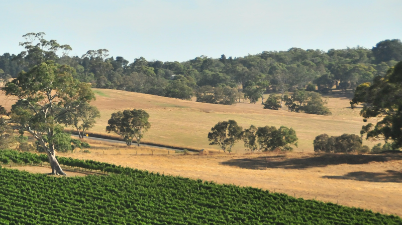 Dry weather to persist into autumn post image