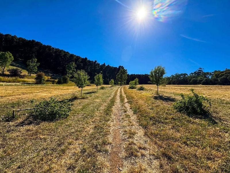 Community rallies in the wake of vandalism post image