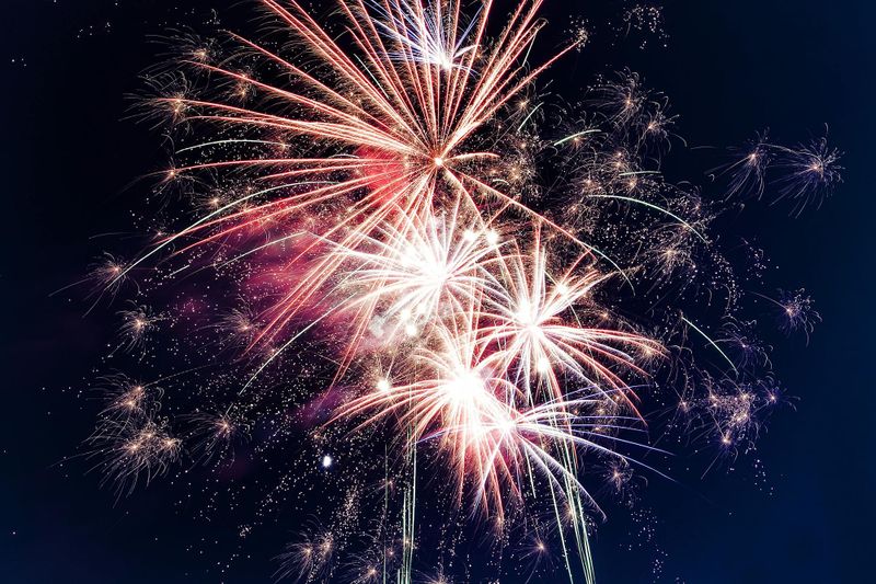 Move to limit impact of fireworks on stock post image