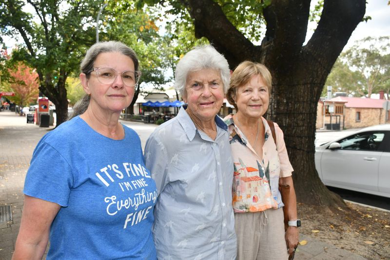 Calls for upgrades after several falls post image