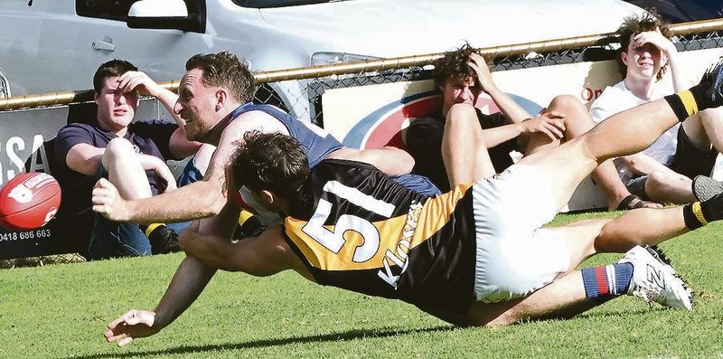 Top dogs grounded post image