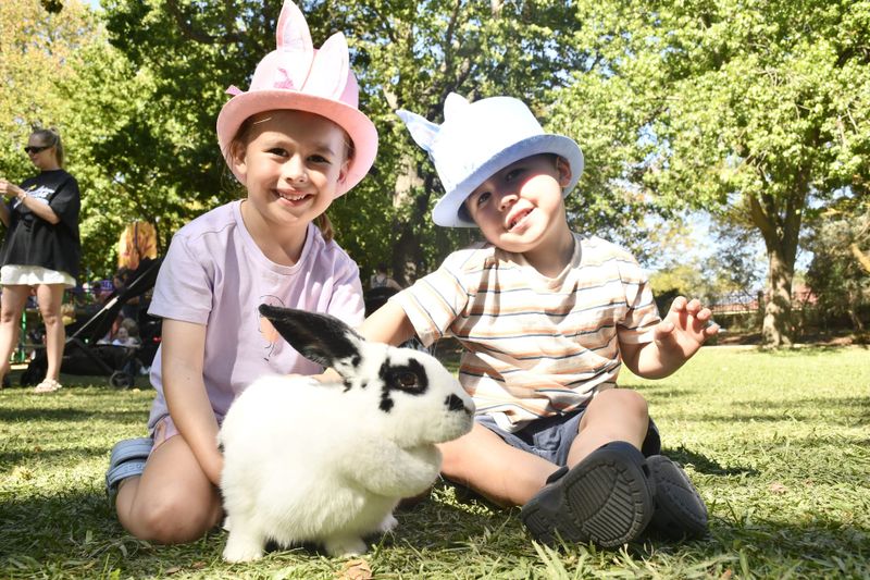 A hoppy Easter post image