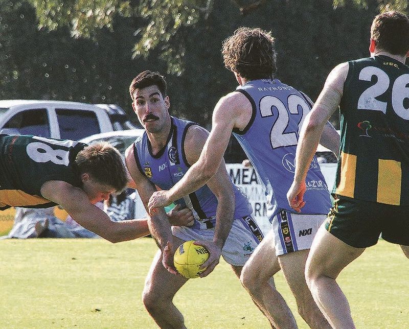 Raiders impress post image