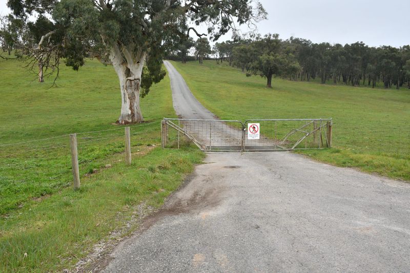 Young man killed in workplace accident on Hills property post image