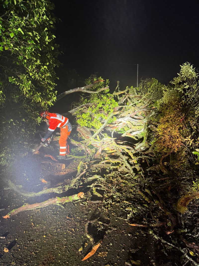 Double the workload for SES volunteers post image