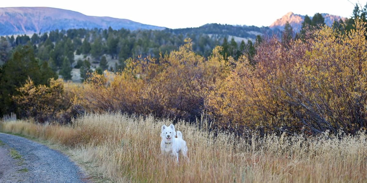 Isaac in the Highlands