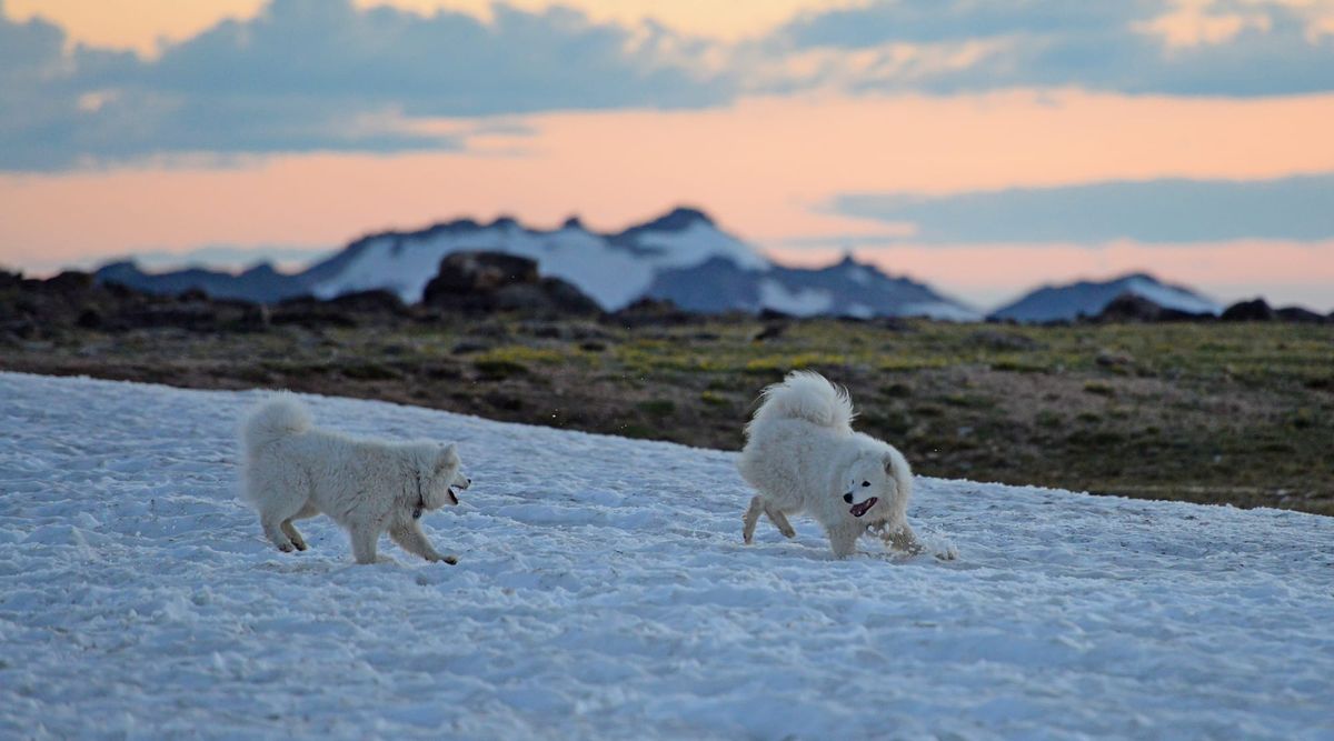 Beartooth Plateau