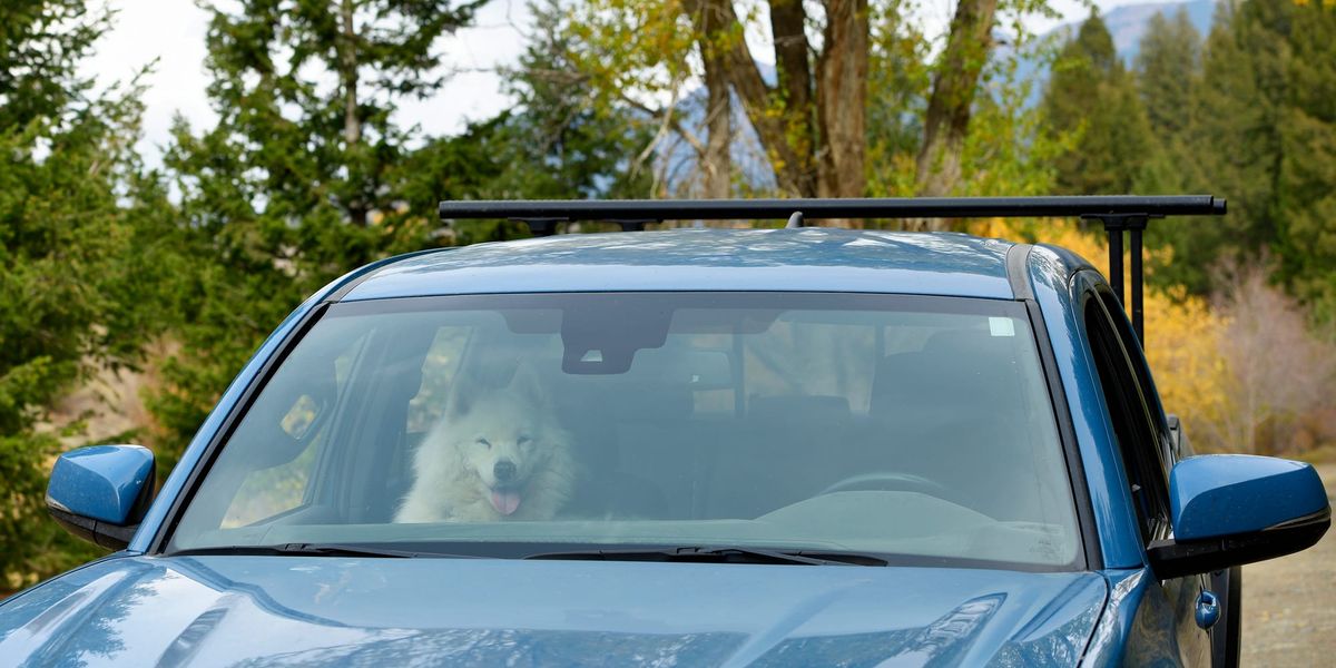 Jamie in the Highlands