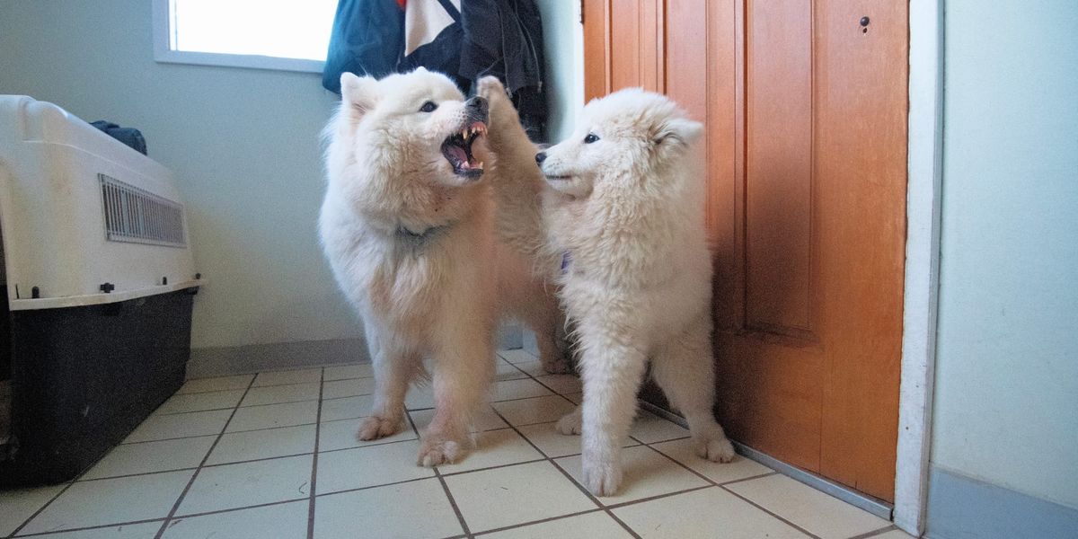 Nancy's Seattle Days