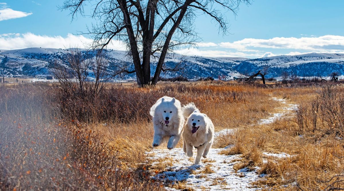 Nancy & Strummer's 1st year