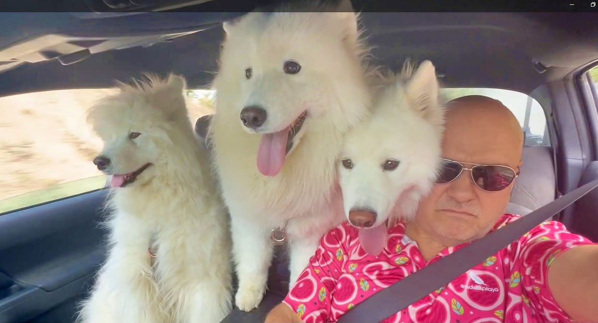 Tuesday in the Highlands