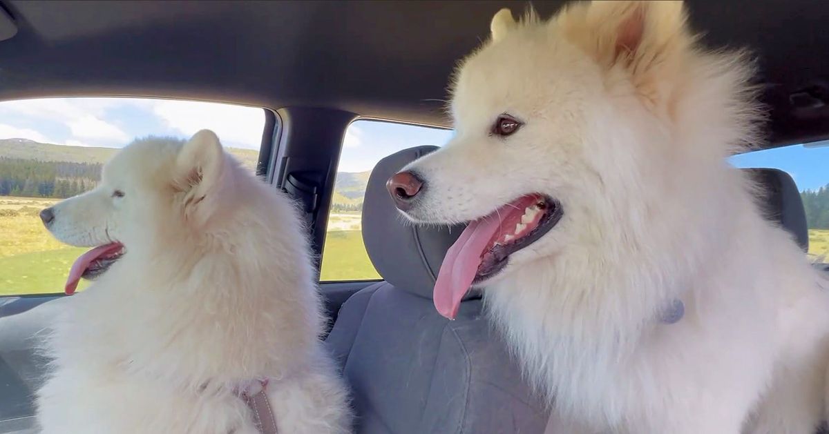 Vipond Park with Nancy and George