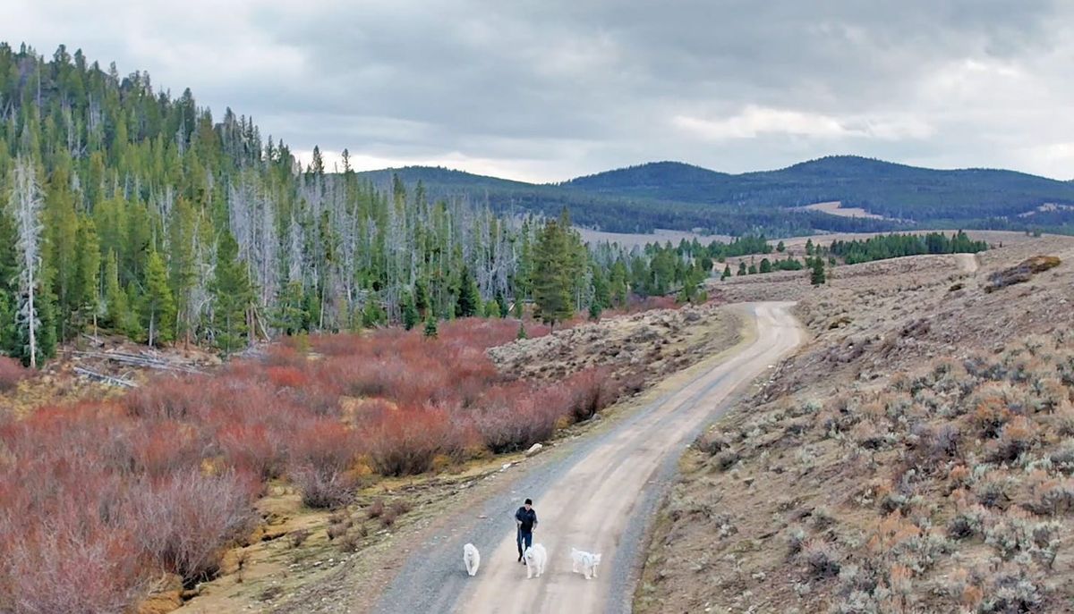 Back to the Highlands, again