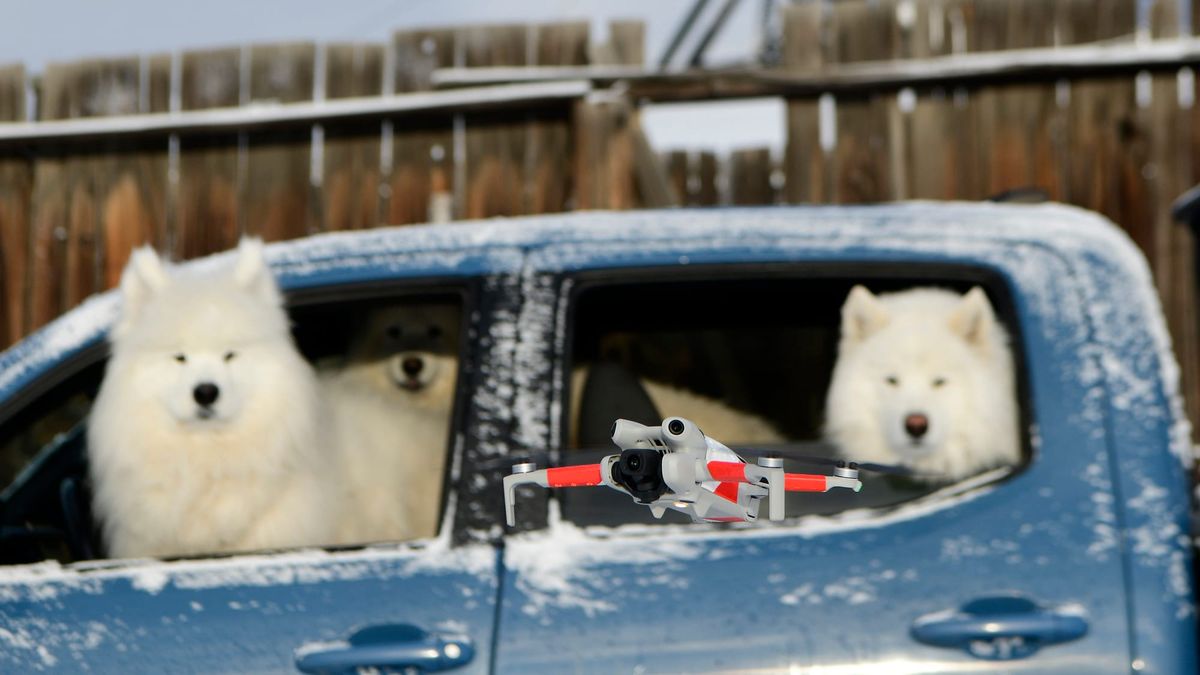 A drone joins the pack