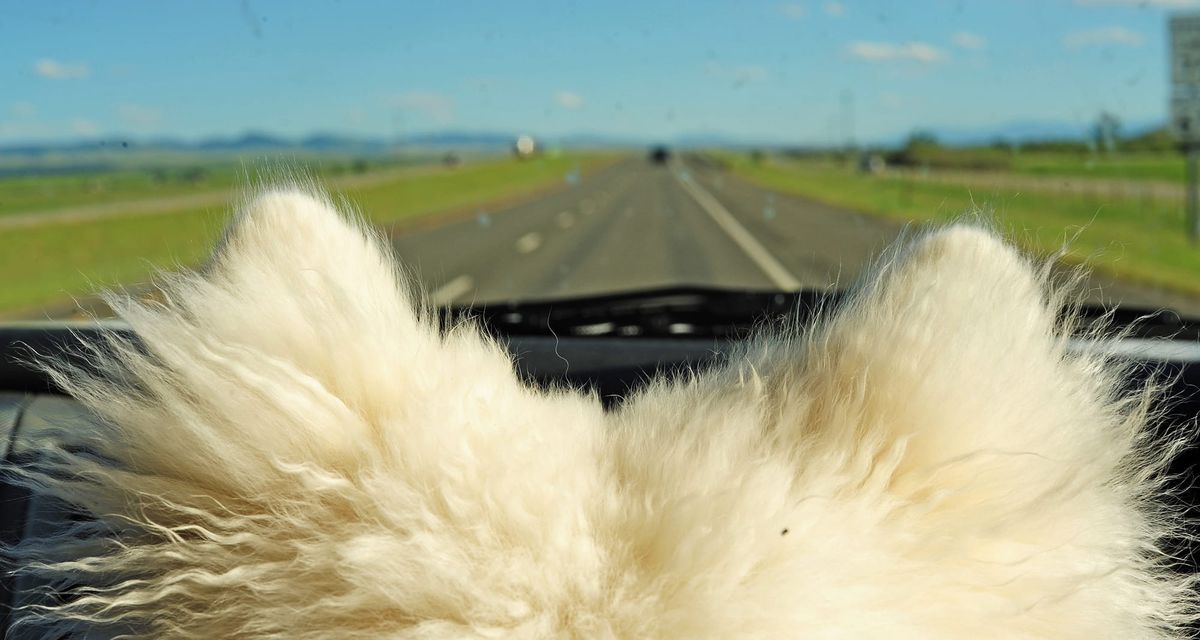 Day 2: Harrison to Butte