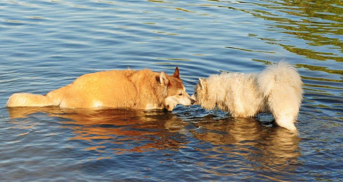 Day 3: Butte to Bozeman