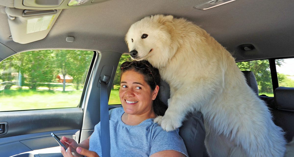 Day 4: Bozeman to Fort Peck
