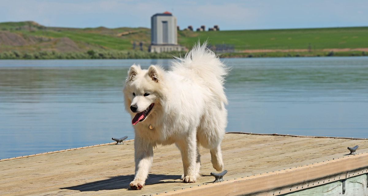 Day 5: Fort Peck, Montana
