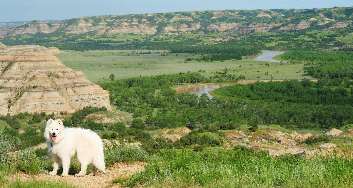 Day 6: Fort Peck to Bismarck