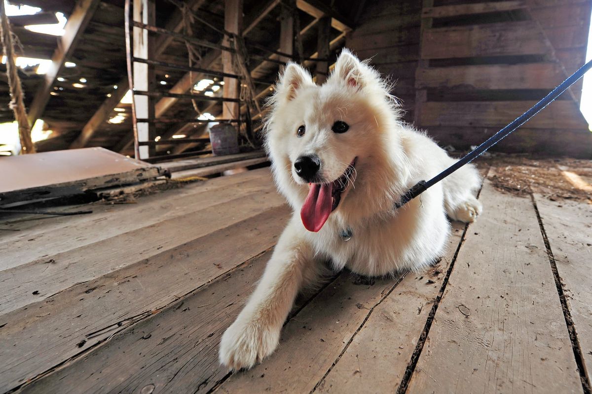 Day 8: Forbes, North Dakota