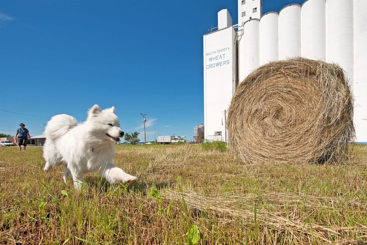 Day 9: Forbes to Pierre