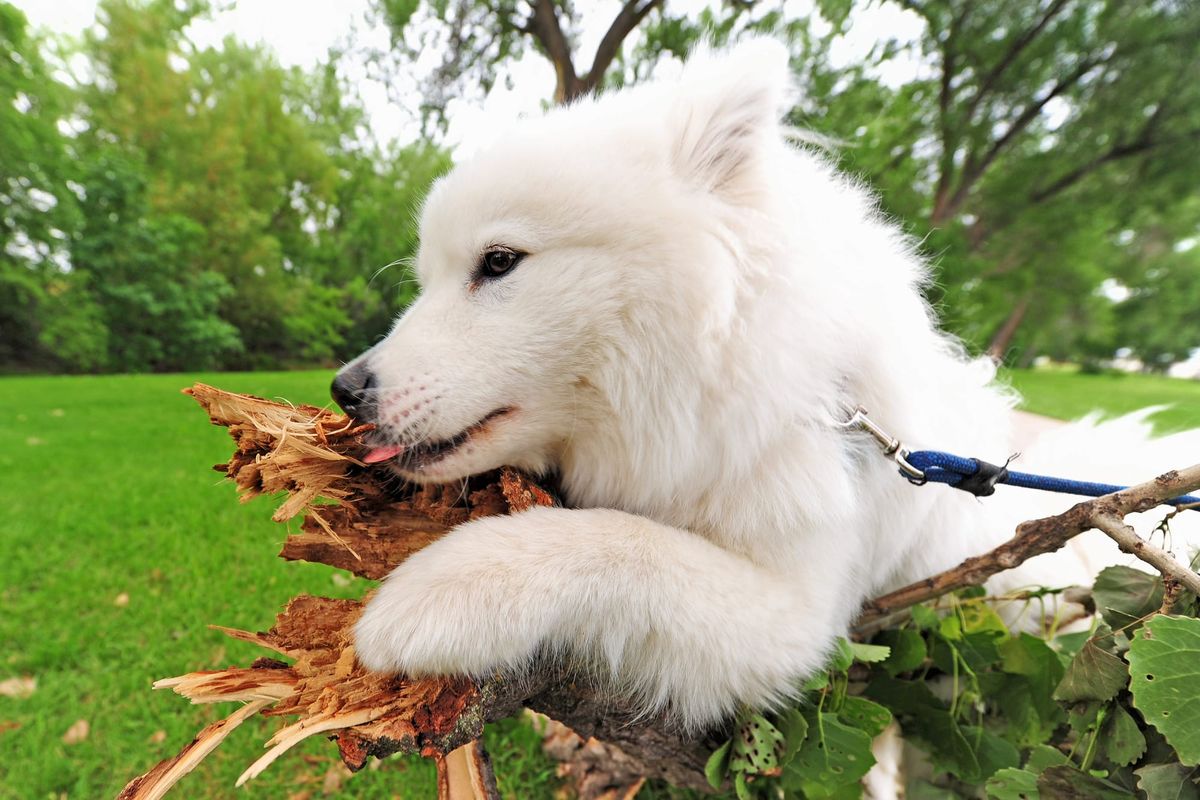 Day 11: Wall to Rapid City