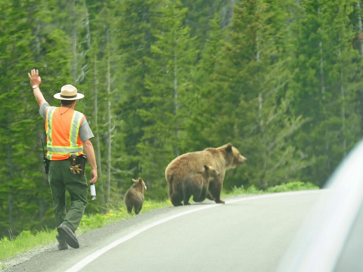 Day 14: Yellowstone National Park