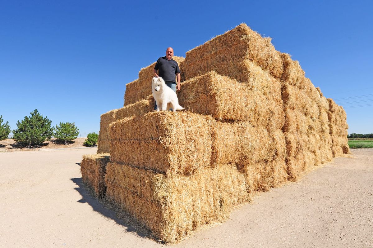 Day 16: Arco to Ontario