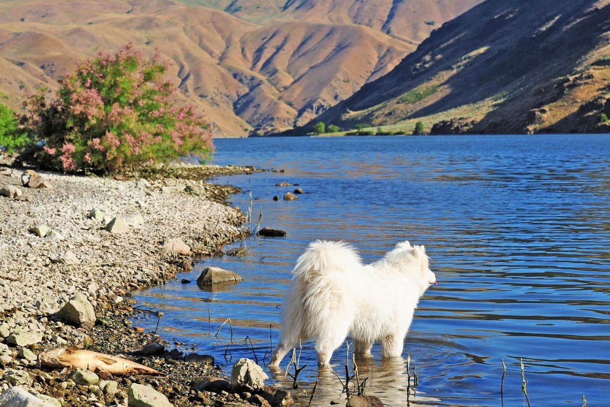 Day 17: Ontario to Joseph