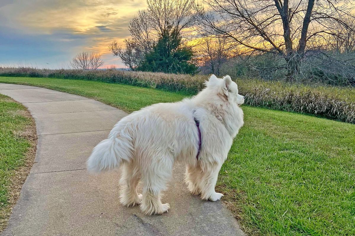 Day 6: Evanston to Sioux City, IA