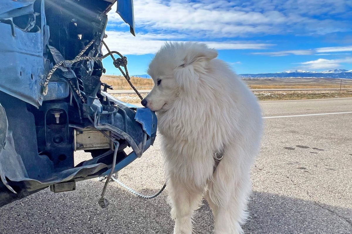 Day 8: An unexpected turn of events