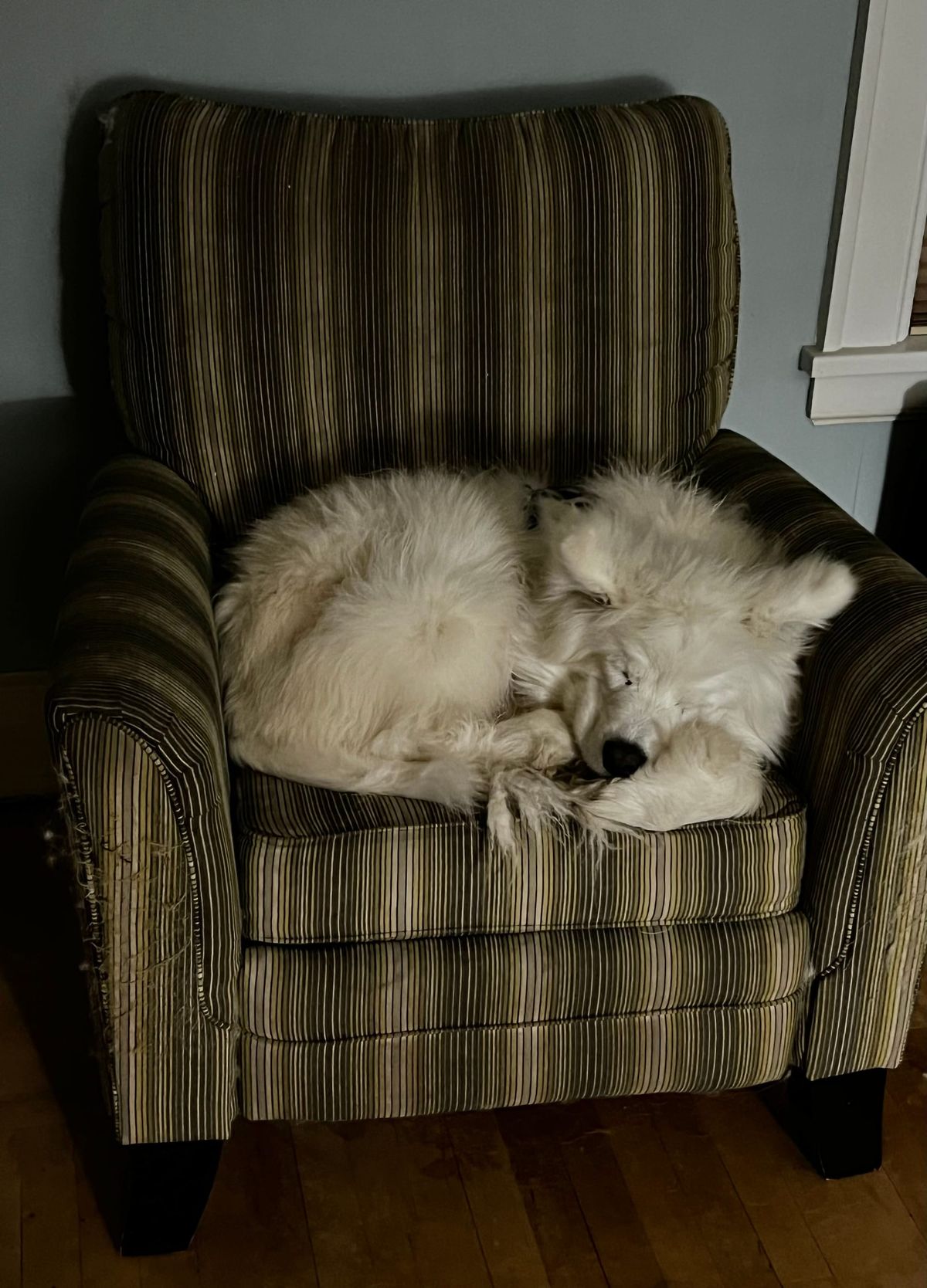 Isaac says good night