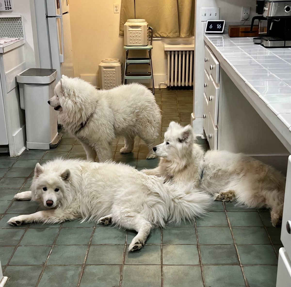 Watching Megan make dinner