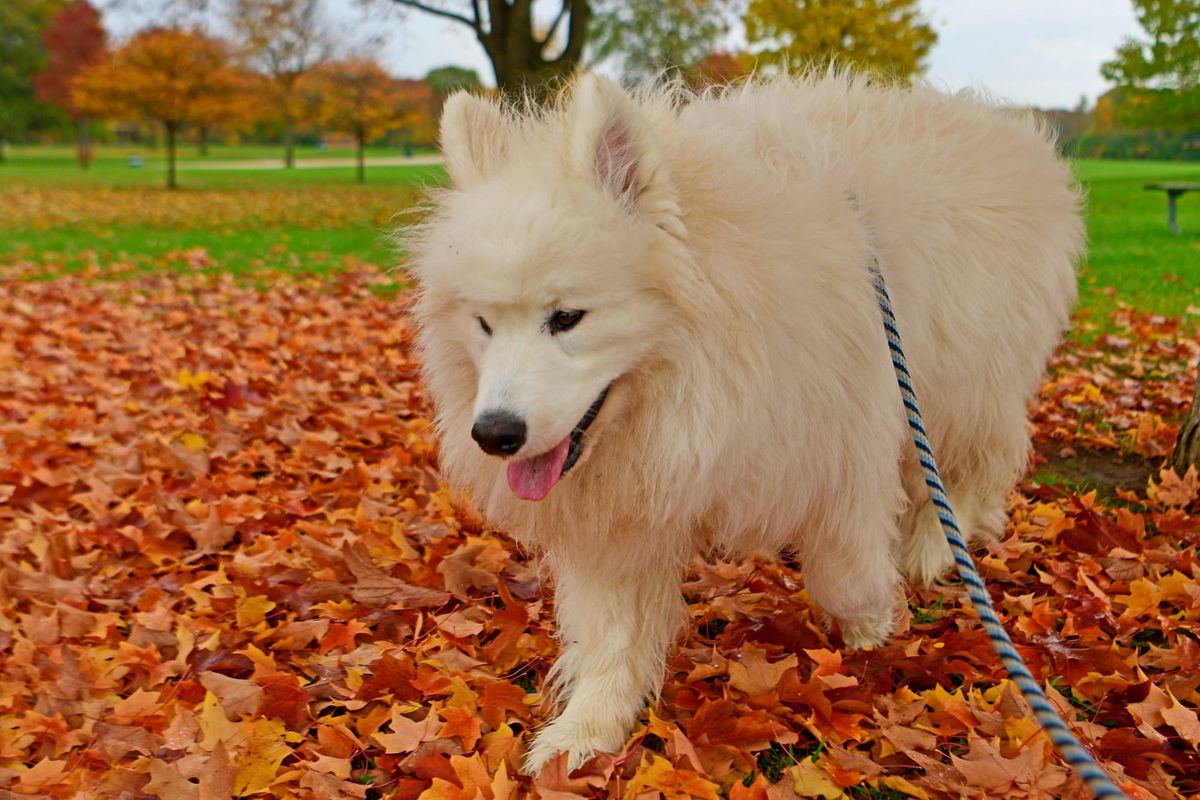 Day 3: Janesville to Three Rivers, MI