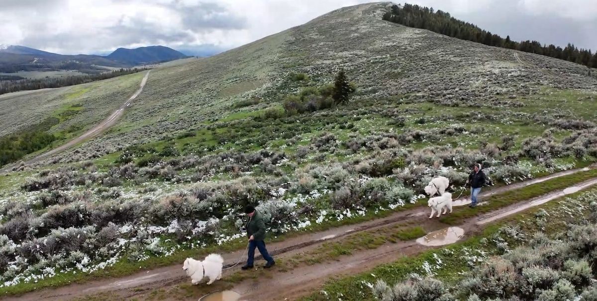 Back to the Highlands