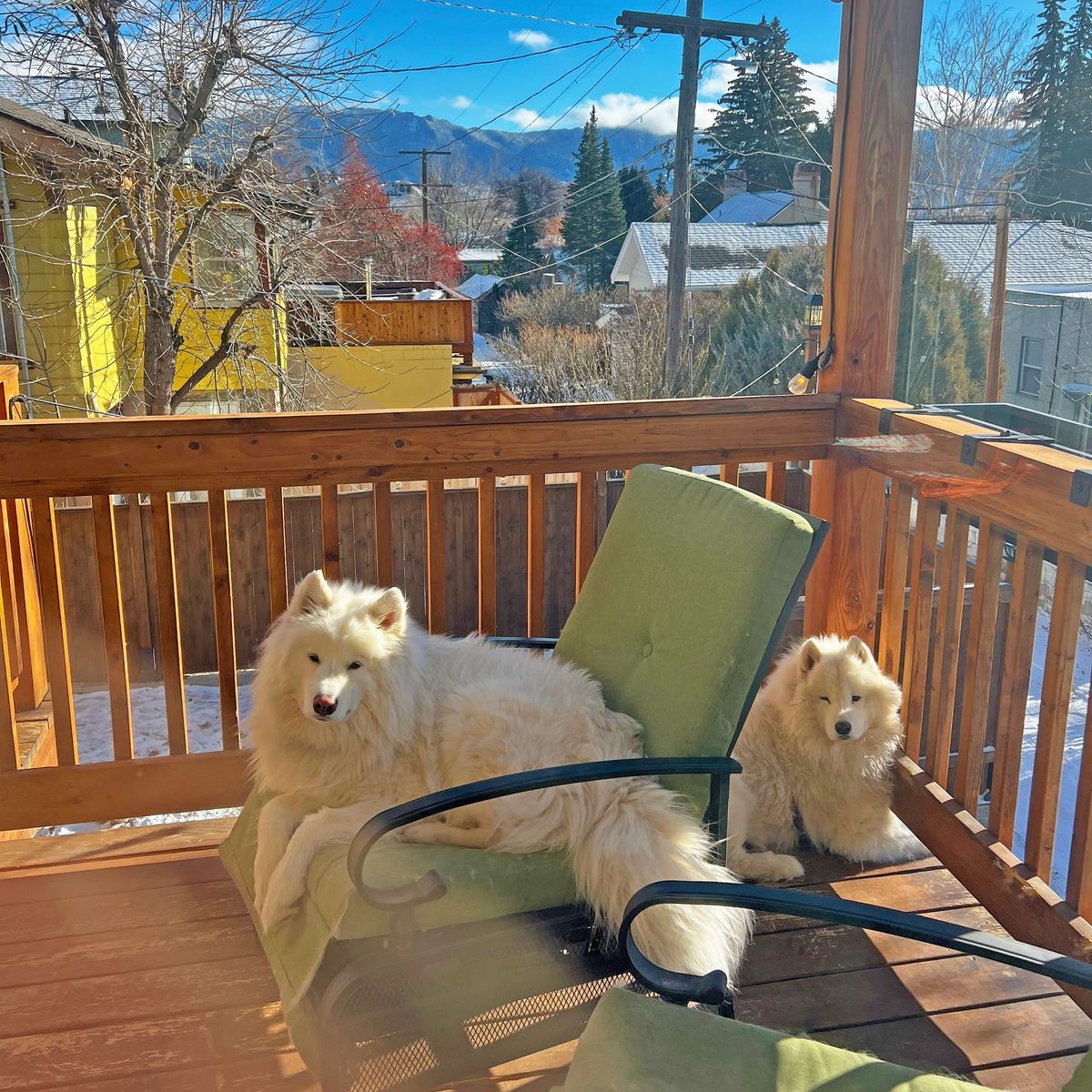 Enjoying the sunshine