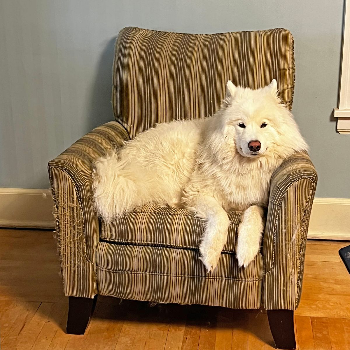 George supervising chores