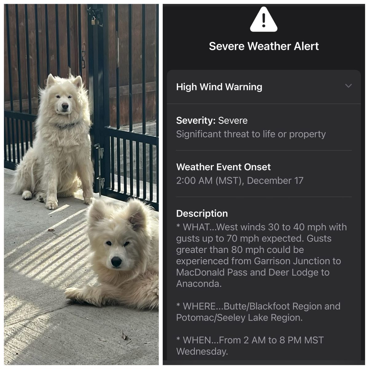 Here comes the wind!